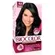 BIOCOLOR KIT CR 4.0 CASTANHO MEDIO