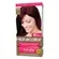 HIDRACOLLOR KIT 3.66 ACAJU PURPURA
