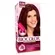BIOCOLOR KIT MINI 5.59 ACAJU PUR DESLUMB