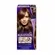 KOLESTON RETOQUE RAIZ 67 CHOCOLATE