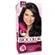 BIOCOLOR KIT MINI 4.0 CASTANHO MALICIA