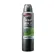 DOVE AERO MEN MINERAIS+SALVIA 150ML