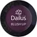 DAILUS BLUSH UP Nº 18 BETERRABA
