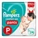 FRALDA PAMPERS PANTS G C/24