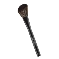 DAILUS PINCEL Nº17 BLUSH CHANFRADO