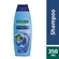 PALMOLIVE SH NAT. ANT CASP.  350ML