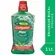 PLAX BUCAL FRESH MINT L1000P700ML