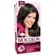 BIOCOLOR KIT CR 6.1 LOU.ESC.ACINZENT