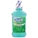 ORAL B ENX.BUCAL HORTELA 250ML